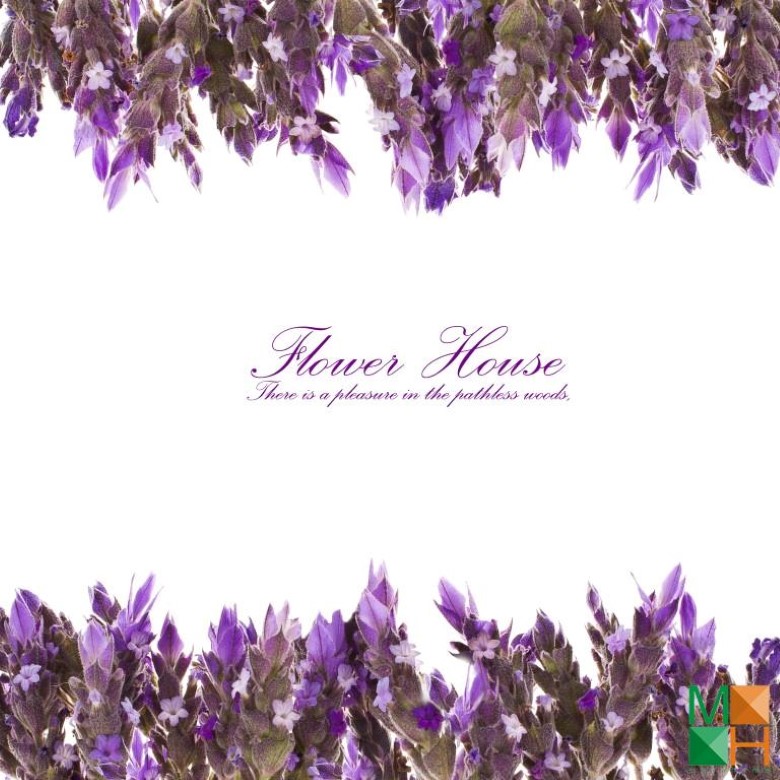 Tranh dán tường nhập khẩu Hàn Quốc hoa lavender FW - 161